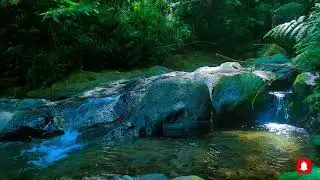 🌳 Forest River Harmony &ndash; Nature ASMR for Meditation, Yoga, Study & Peaceful Rest 🍃✨