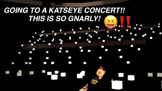 GOING TO A KATSEYE CONCERT!! EVERYTHING IS GNARLY EP. 3