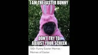 Easter memes #2 #foryoupage #shorts #memes #funny #viral #popular #easter