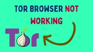 How to Fix Tor Browser Not Working on Windows 11