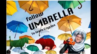 UMBRELLA NETWORK is the BEST PLACE to LEARN about Cryptos