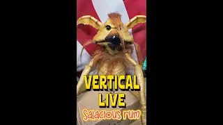 Vertical Live with Salacious Rum - Number 1 #livesteamwithyoutube