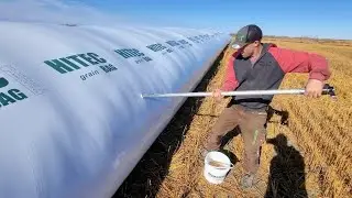 How to sample grain bags!