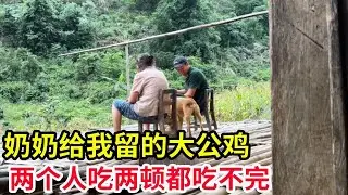 奶奶给我留的大公鸡，快一年没来鸡都老了，两个人吃两顿都吃不完！【山农乐哥】