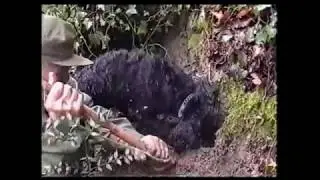 Truffle hunting in Tuscany in 1992 - My grandfather Lino and his truffle dog find white truffle