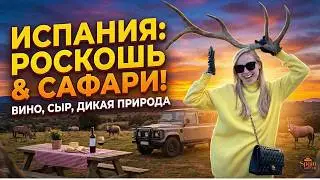 Роскошный отдых в Испании: сафари, сыр, вино 🇪🇸 Испания с Евой