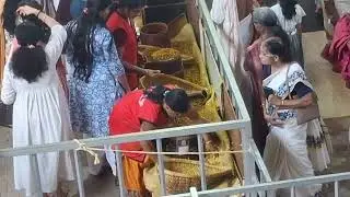 ഹൃദയം ശാന്തമാകുന്ന നിമിഷങ്ങൾ… 🌸ഗൗരീശങ്കര സാന്നിധ്യം അനുഭവിക്കാംബ്രാഹ്മിണിപ്പാട്ടിൽ ✨