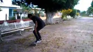 Flatline Skate jose igancio
