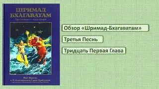 Обзор ШБ 3.31