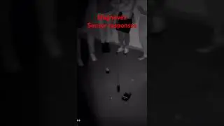 Spooky Haunts Ghost Response
