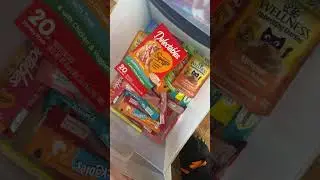 Cat food in different countries #catslive #catfoods ￼