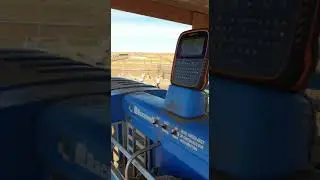 Te Pari Racewell DR3 Auto Drafting 800 sheep per hour