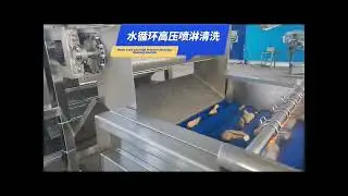 fruit  and  vegetable  cleaning LINE   vegetable processing   production  LINE