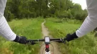 MTB banen i Kelstrup plantage