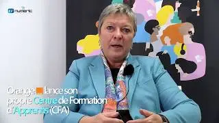 Le défi des compétences:  Quelle ambition pour Orange en 2020 ?
