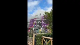 What to Know Before You Go to The Chelsea Flower Show 🌸