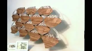 Prototype of Responsive Cladding Module with Double-Sided Response: Oblique Angle