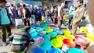 Fish Market | Galiff Street Fish Market Kolkata | Cheapest price | Recent Aquarium Fish Price Update