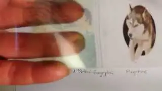 How to make a tape transfer
