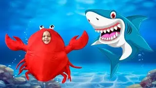 Baby Crab | Kids Songs and Nursery Rhymes | Animal Songs from Hello Dana