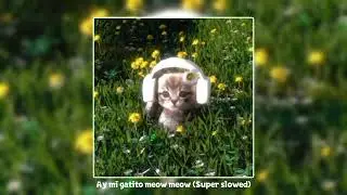 Montagem Miau - ''Lenar'' - (ULTRA SLOWED + REVERB)