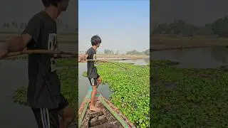 Unique & Best Bowfishing From Boat | Boat Fishing Video | (part_123) #shorts #shortsfeed #boat #fish