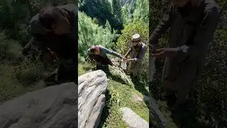 Herbal zone #video #nature #travel #everyone #mountains #foryou #forest #billa #important #viral