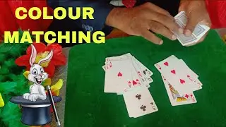 COLOUR MATCHING D.CARDS. Dr.BLN,Raju. #song #shorts #short #comedy #funny #video