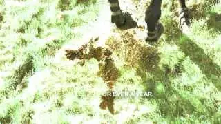 PAIN is temporary. [Equestrianism]