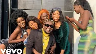 Danny S &ndash; S for Sapa [Official Music Video]