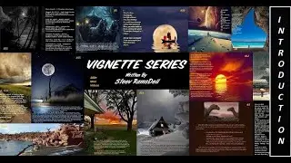 VIGNETTES SERIES - INTRODUCTION