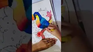 IRL Drawing - A Blue Jay (Full!)