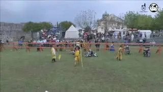 Austria vs Sweden 5v5 IMCF 2016