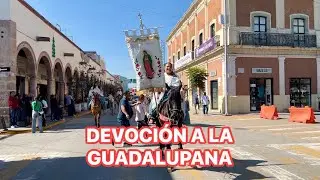 Peregrinación a la virgen de GUADALUPE Silao 2025