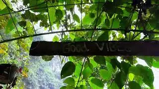 Tegenungan Waterfall Bali &ndash; Hidden Gem of Nature You Must Visit!