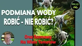 Podmiana Wody? Robić Podmiany - Czy Nie Robić?? - Klub Miłośnik&oacute;w Akwarystyki / Akwarystyka z Pasją.