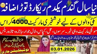 Today Wheat price in punjab//گندم کا ریٹ2026/munji makki till sarso/Galla mandi rate today 2026