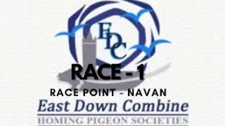 Race 1 - Navan
