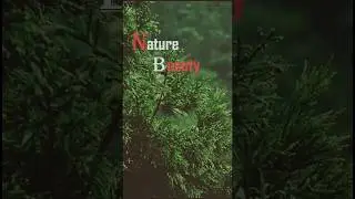 #beauty of nature #youtubeshorts  # viral video #beautifulyouthKorean drama #sagar diya challa song👍