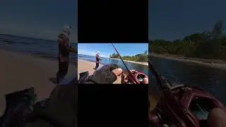 Di Hajar Dekat Banget! Casting Barramundi Muara Sungai Air Hitam #casting #mancing #mancingkakap