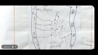 السنة الرابعة متوسط #علوم طبيعة و حياة #