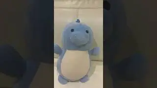 Larry is very strong #fyp#funny#capybara#toys