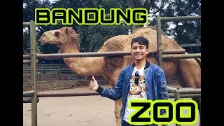 KEBUN BINATANG BANDUNG 2020 - BANDUNG ZOO - makin enak tempatnya