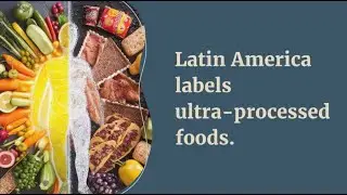 Latin America Leads the Way: Chile, Mexico, Argentina, Brazil & More Implement Food Warning Labels