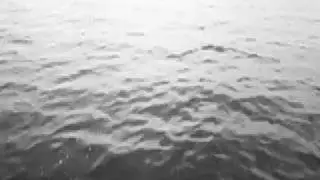 horizonte negro