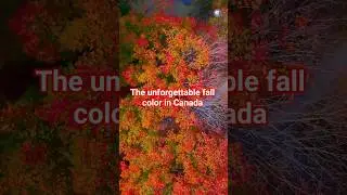 The autumn leaves-8 unforgettable fall color! #canada #fall #travel