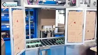 Automatische zak die kartonnen doos zak in doos verpakking machine test video