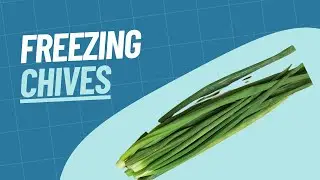 How To Freeze Chives | Our Method for Freezing Chives