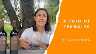 Finca La Celia: A trio of terroirs in the oldest winery in the Uco Valley