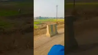Gehra hua/Road side view #roadtrip #road #flowers #viwes #sideview